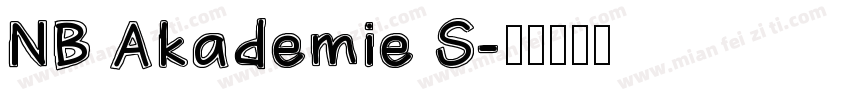 NB Akademie S字体转换